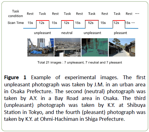 Neural Bases On Cognitive Aspect Of Landscape Evaluation A Study Using Functional Magnetic Resonance Imaging Insight Medical Publishing Neural Bases On Cognitive Aspect Of Landscape Evaluation A Study Using Functional Magnetic Resonance Imaging Insight Medical Publishing