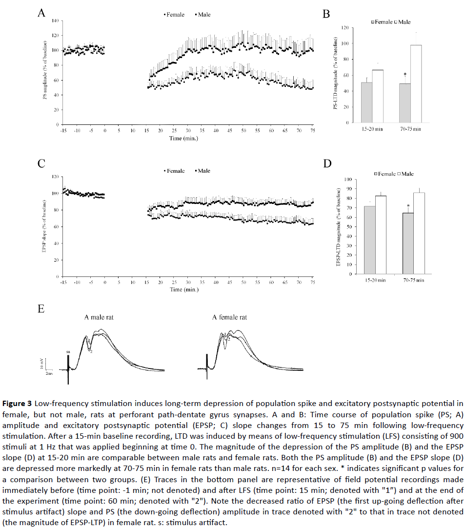Sex Differences In Hippocampal Long Term Depression And The N Methyl Daspartate Receptor In Rats Positive Correlation Between Ltd And Glun2b Subunit Insight Medical Publishing